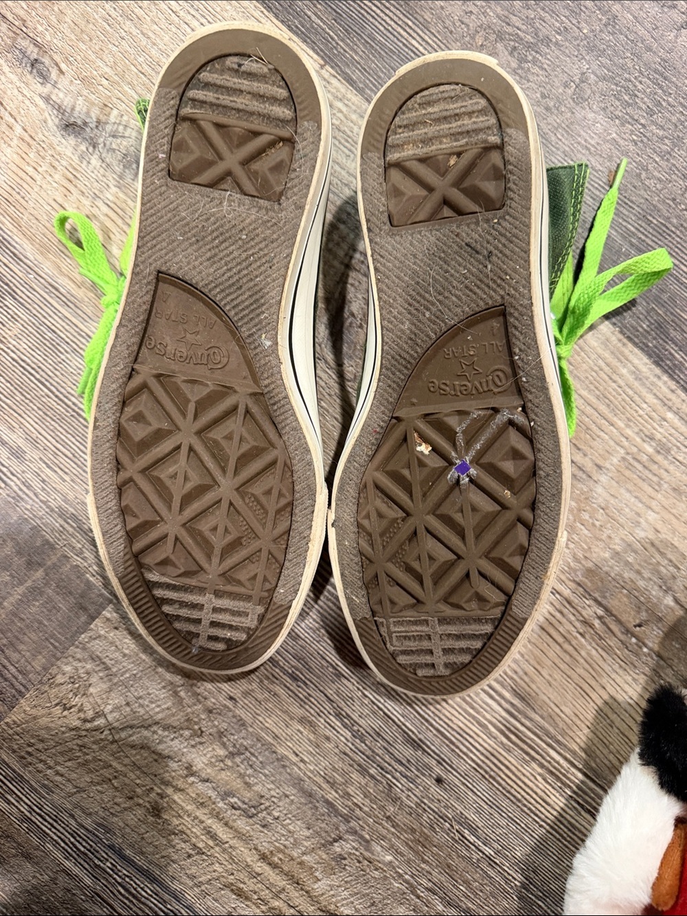 Converse Olive Green High Top Sneakers with Neon Green Laces - Picture 3 of 3